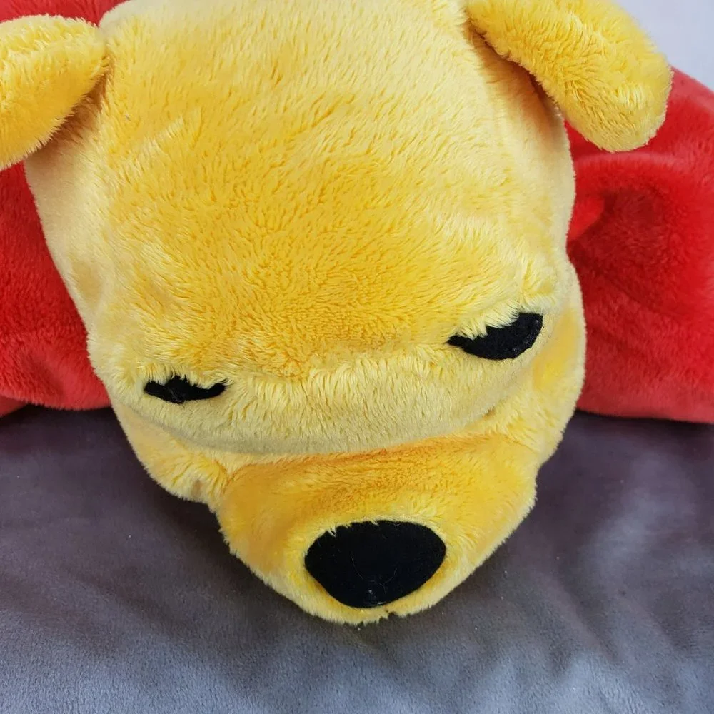 Disney parks winnie